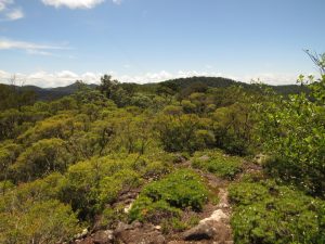 on top of Major's Mountain