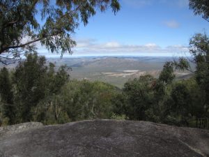 view to Mount Carbine